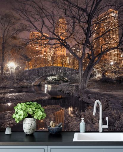 Carta da parati Central Park Stone Bridge