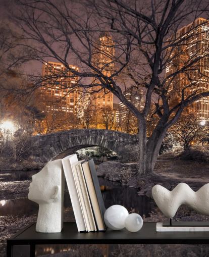 Carta da parati Central Park Stone Bridge