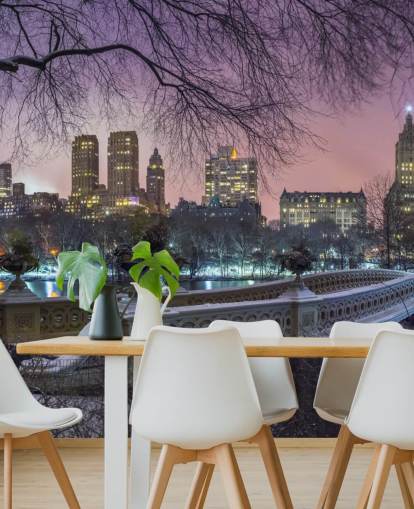 New York Central Park Bridge väggmålning