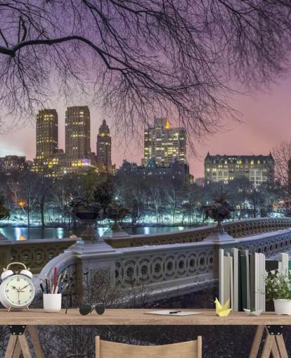 New York Central Park Bridge Mural