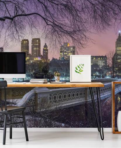 New York Central Park Bridge Mural