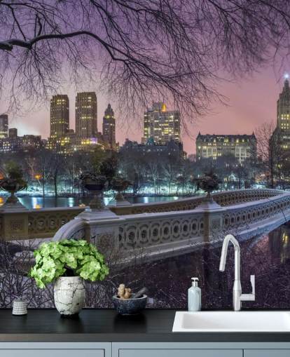 New York Central Park Bridge Mural