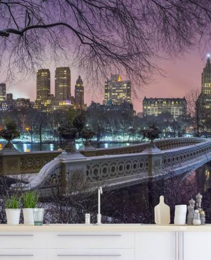 New York Central Park -sillan seinämaalaus