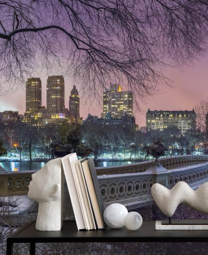 Decorazione murale con ponte di Central Park