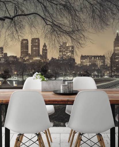 Fondo de pantalla de Central Park Long Bridge