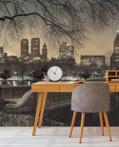 Central Park Long Bridge Wallpaper