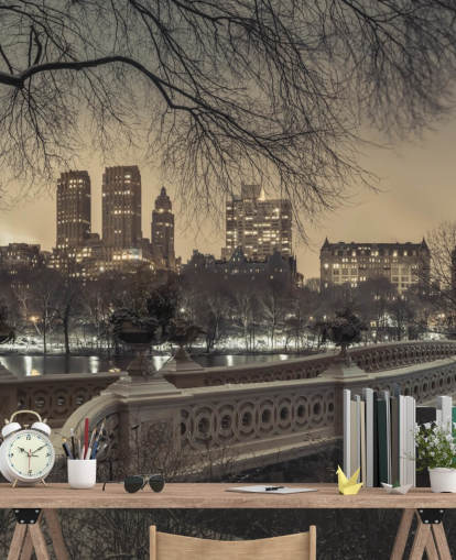 Central Park Long Bridge Wallpaper