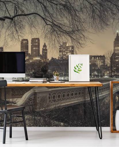 Fondo de pantalla de Central Park Long Bridge