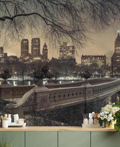 Central Park Long Bridge Wallpaper