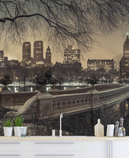 Central Park Long Bridge Wallpaper