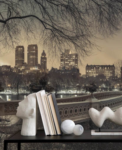 Central Park Long Bridge Wallpaper