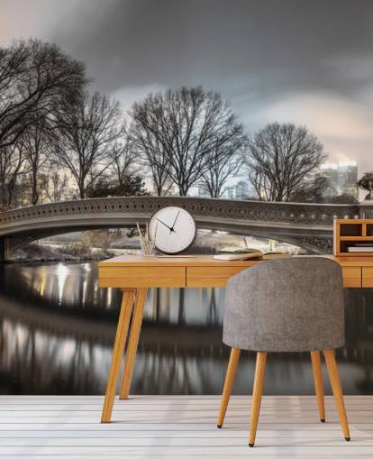 Fondo de pantalla sobre el estanque de tortugas