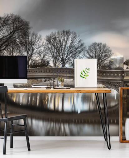 Bow Bridge over Turtle Pond Bakgrunn