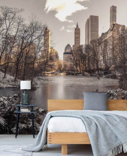 Mural de pared Amanecer de invierno en Central Park