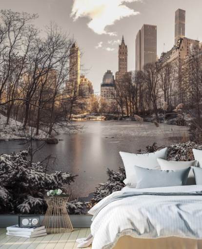 Winter Dawn in Central Park Wall Mural