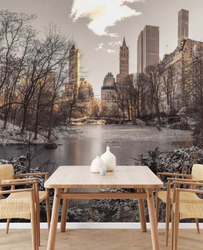 Winterdämmerung im Central Park Fototapete