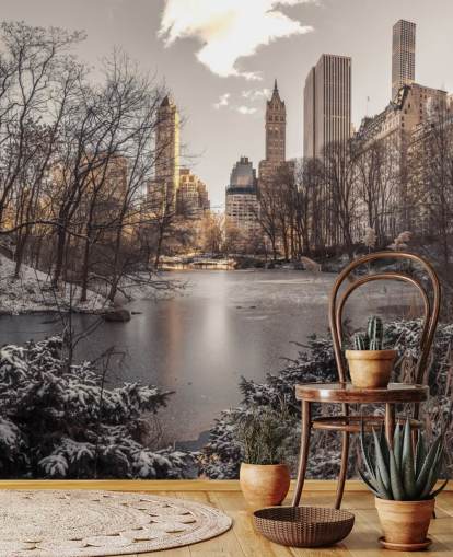 Mural de pared Amanecer de invierno en Central Park