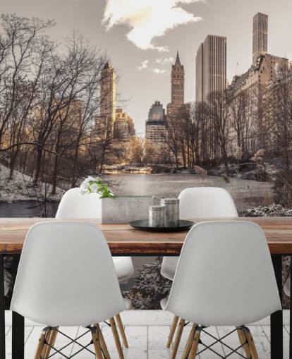 Mural de pared Amanecer de invierno en Central Park