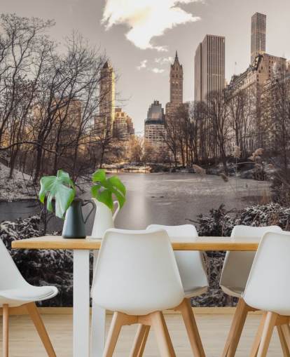 Vintersoloppgang i Central Park Wall Mural