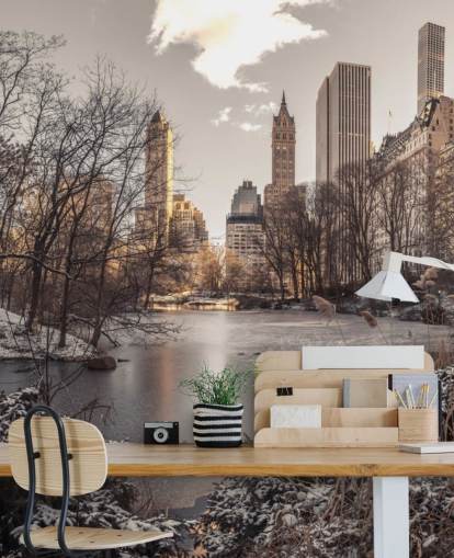 Winter Dawn in Central Park Wall Mural Winter Dawn in Central Park Wall Mural