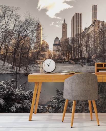 Winter Dawn in Central Park Wall Mural