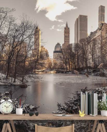 Mural de pared Amanecer de invierno en Central Park Mural de pared Amanecer de invierno en Central Park