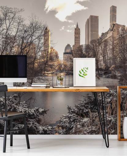 Winter Dawn in Central Park Wall Mural