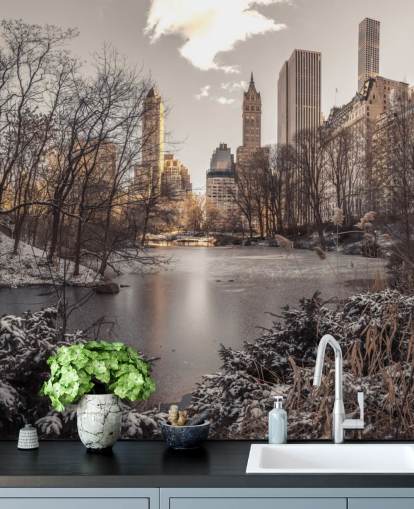 Mural de pared Amanecer de invierno en Central Park