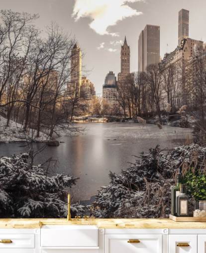 Decorazione murale con alba invernale a Central Park