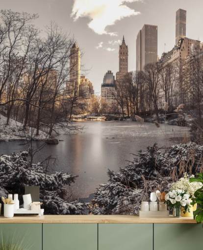 Vintersoloppgang i Central Park Wall Mural