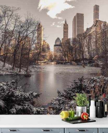 Winter Dawn in Central Park Muurschildering Winter Dawn in Central Park Muurschildering