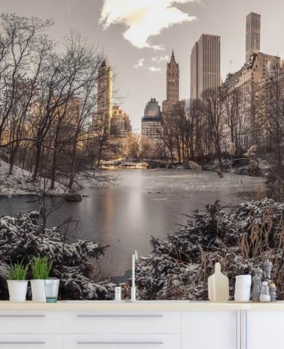 Winterdämmerung im Central Park Fototapete