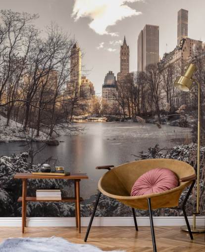 Winter Dawn in Central Park Wall Mural