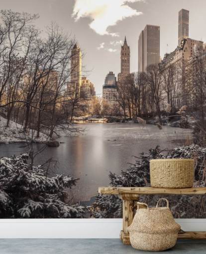 Winter Dawn in Central Park Wall Mural