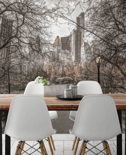 Central Park Winter Walk Wallpaper Mural