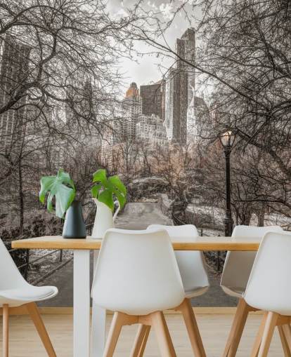 Central Park Winter Walk Wallpaper Mural