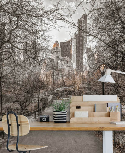 Central Park Winter Walk Wallpaper Mural