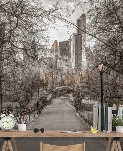 Winterspaziergang im Central Park Fototapete