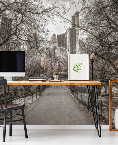 Central Park Winter Walk Wallpaper Mural