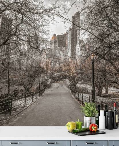 Papel pintado Paseo invernal de Central Park