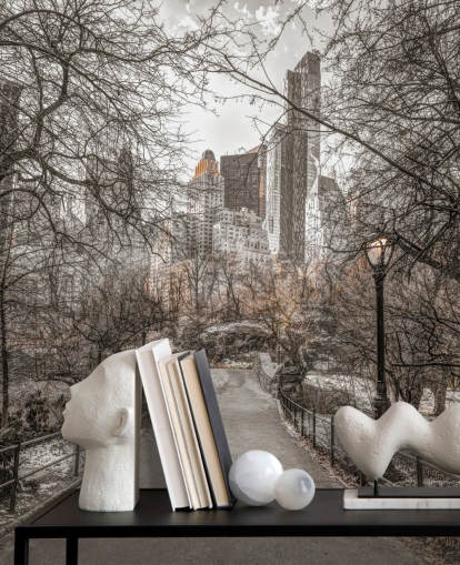 Papel de parede do Central Park Winter Walk Papel de parede do Central Park Winter Walk