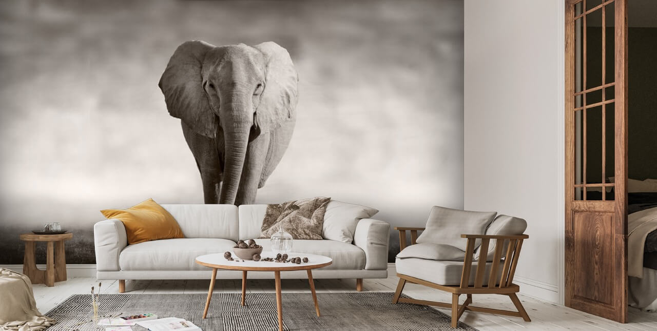 Elephant Wallpaper Mural Wallsauce UK
