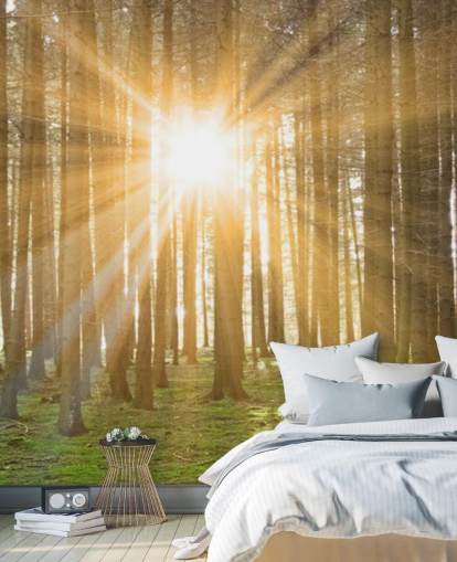 Sonne filtert durch Wald Wallpaper