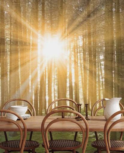 Sun Filtering Through Forest Wallpaper Sun Filtering Through Forest Wallpaper