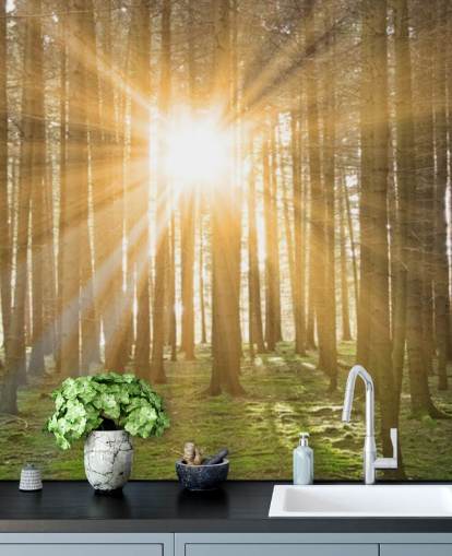 Sun Filtering Through Forest Wallpaper