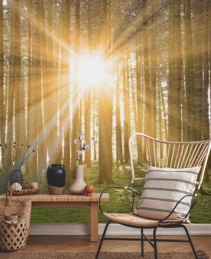 Sun suodatus metsän taustakuvan kautta