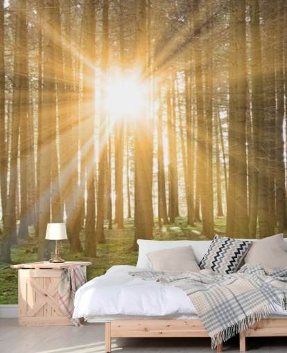 Sol filtrering gennem Forest Wallpaper