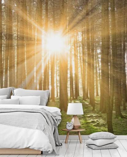 Sonne filtert durch Wald Wallpaper