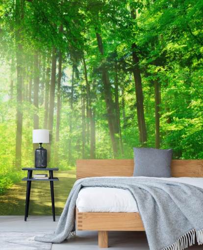 green customizable forest wallpaper mural called Forest Path in Sunshine