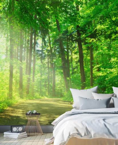 grønt tilpassbart skogtapet veggmaleri kalt Forest Path in Sunshine